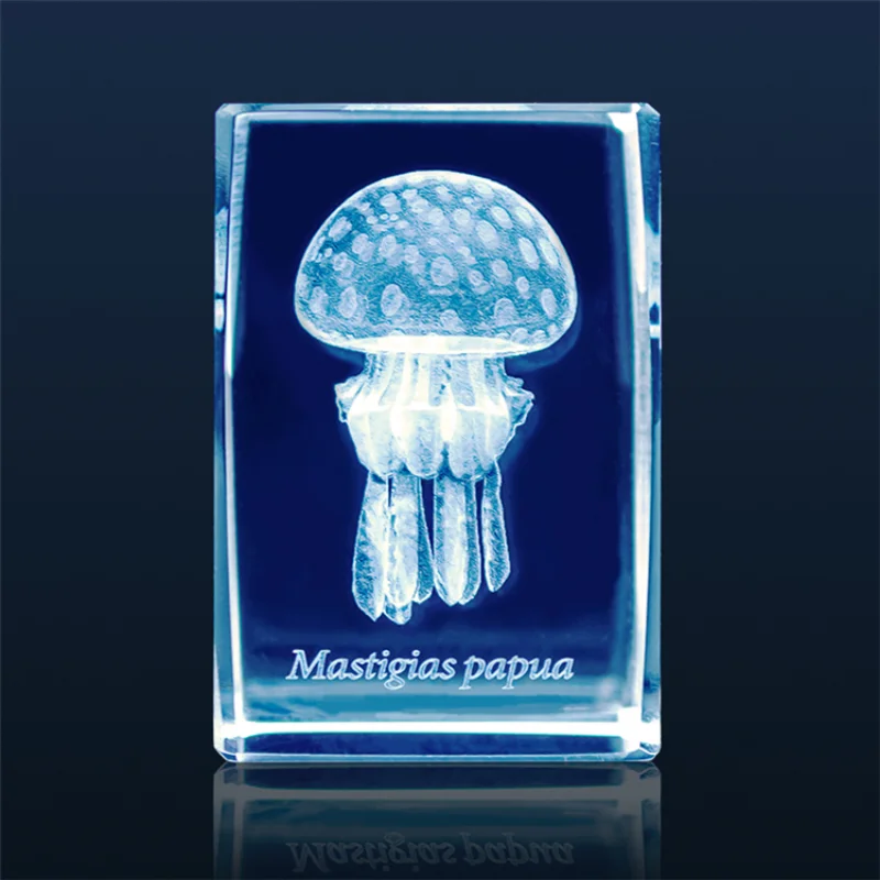 Japan Gashapon Jellyfish 3D Cr - مراجعة Aquarium Fish Japan وسعره