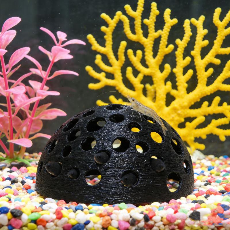 Aquarium Hidden Cave Shelter F - مراجعة Aquarium Fish Hiding Places وسعره