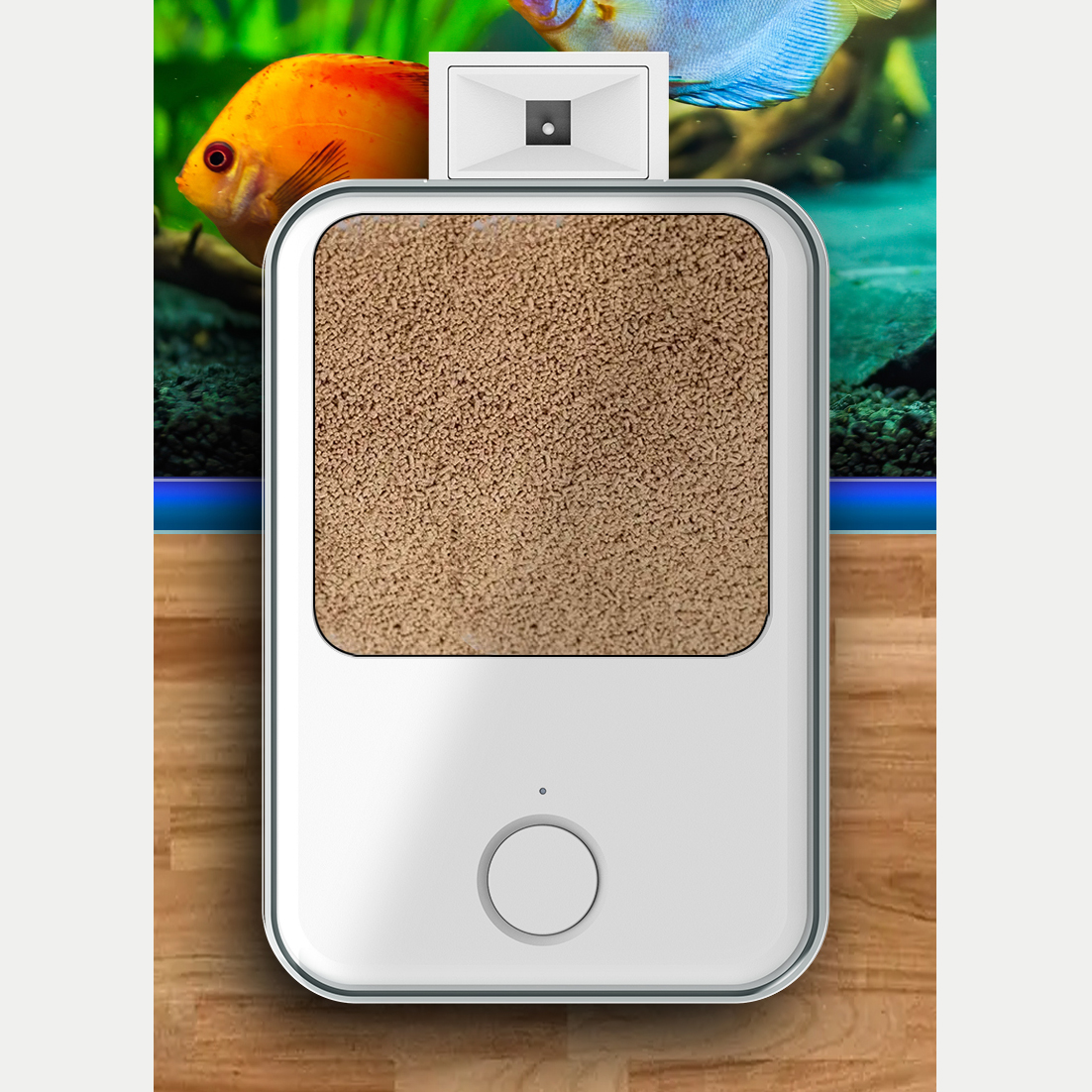 1PC WIFI/Button Version automa - مراجعة Aquarium Fish Feeder وسعره