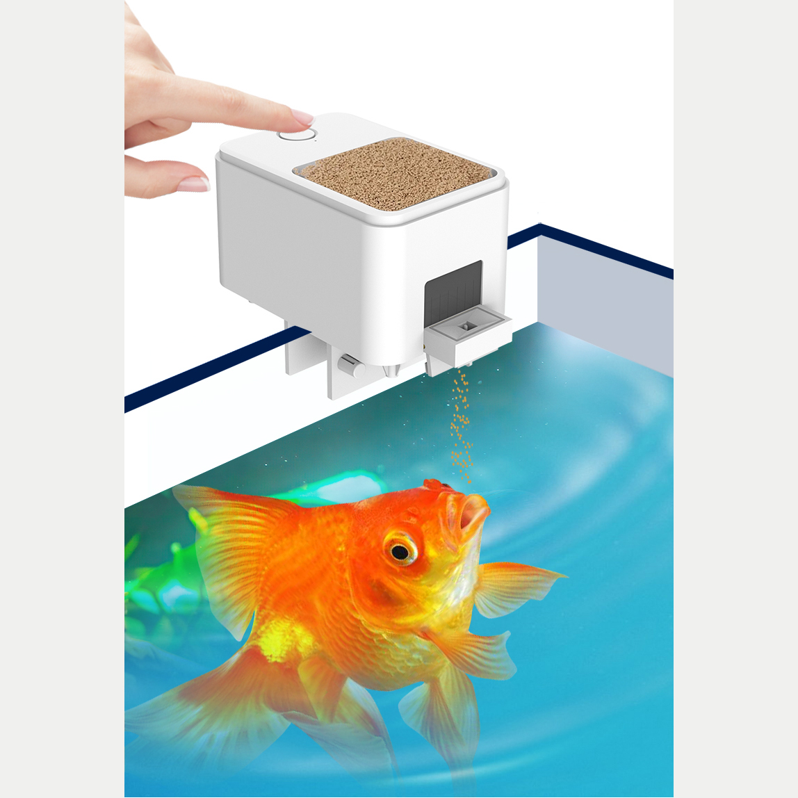 1PC WIFI/Button Version automa - مراجعة Aquarium Fish Feeder وسعره