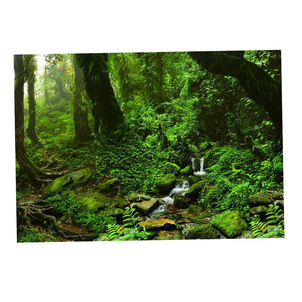 Aquarium Backdrop Poster Vivid - مراجعة Aquarium Fish Poster وسعره