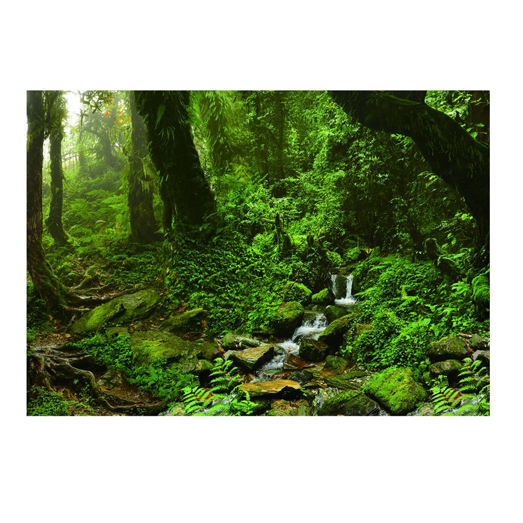 Aquarium Backdrop Poster Vivid - مراجعة Aquarium Fish Poster وسعره