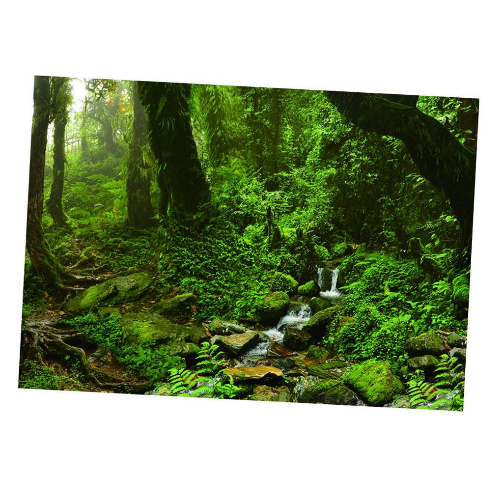 Aquarium Backdrop Poster Vivid - مراجعة Aquarium Fish Poster وسعره