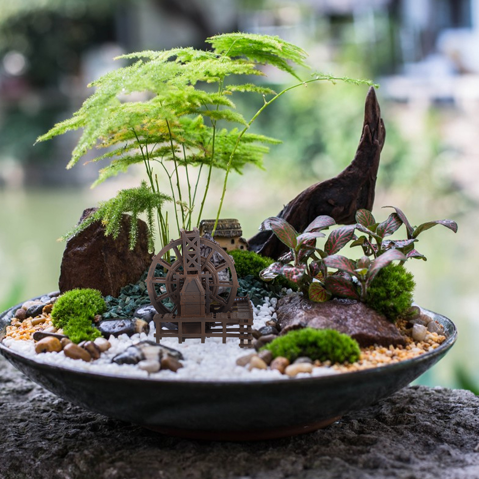 Miniature Water Wheel Ornament - مراجعة Aquarium Fish Real وسعره