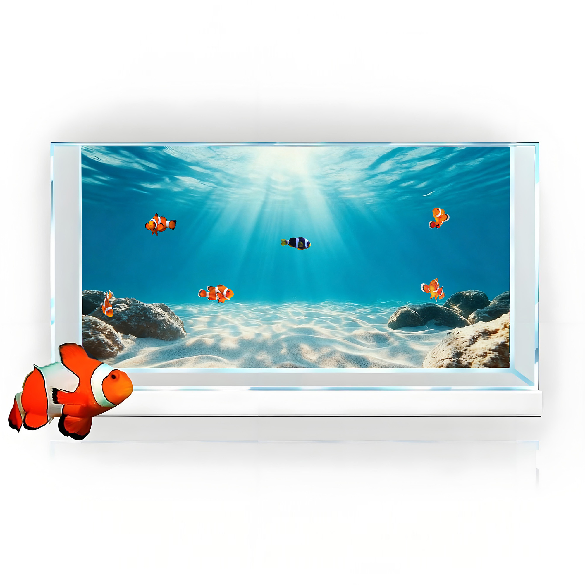 Blue sea clear sand，Fish tank  - مراجعة Aquarium Fish Poster وسعره