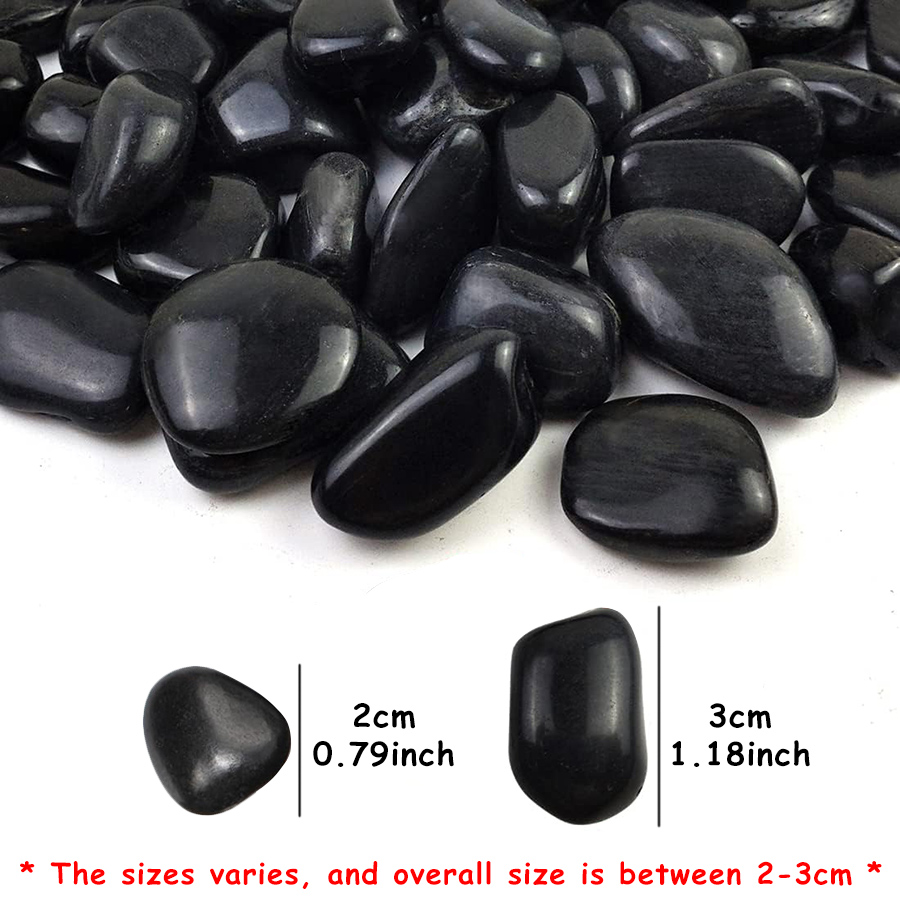 200g Black High Polished Natur - مراجعة Aquarium Fish Gallery وسعره