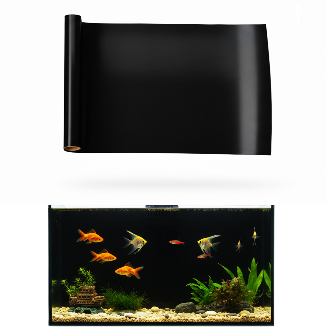 Aquarium Background Static Cli - مراجعة Aquarium Fish Poster وسعره