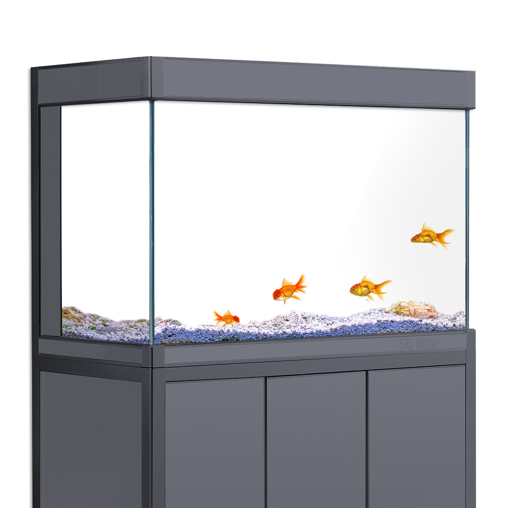 Aquarium Background Static Cli - مراجعة Aquarium Fish Poster وسعره