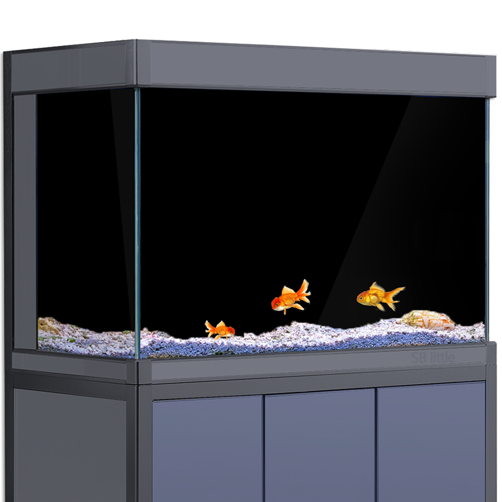Aquarium Background Static Cli - مراجعة Aquarium Fish Poster وسعره