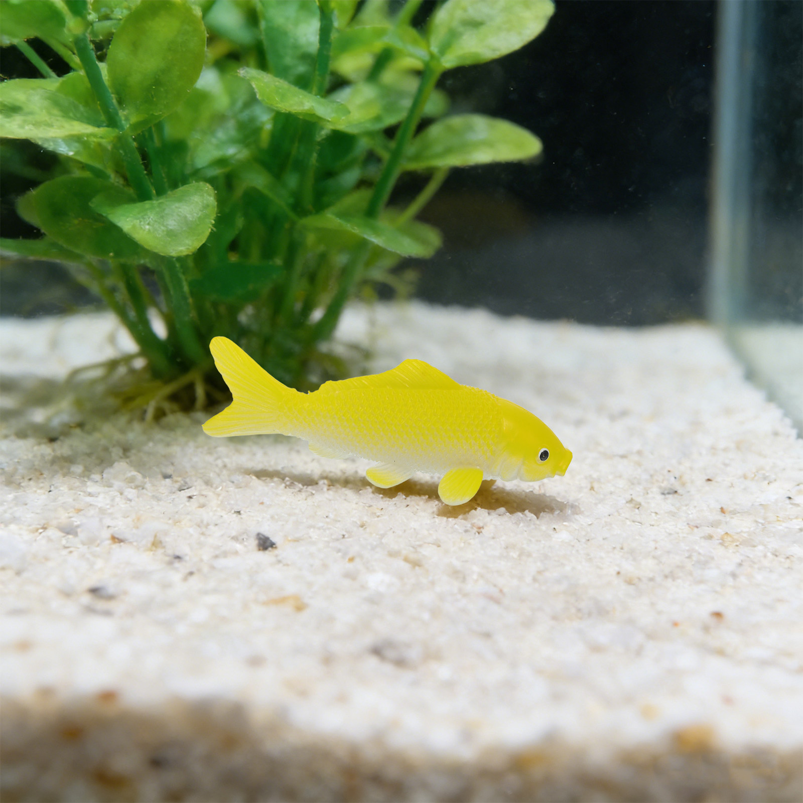 3pcs Fish Crafts Toys Realisti - مراجعة Aquarium Fish Real وسعره