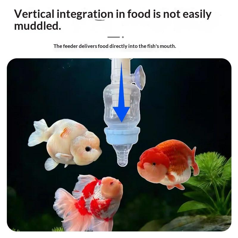 1pcs Precise Fish Pacifier Fee - مراجعة Aquarium Fish Feeder وسعره