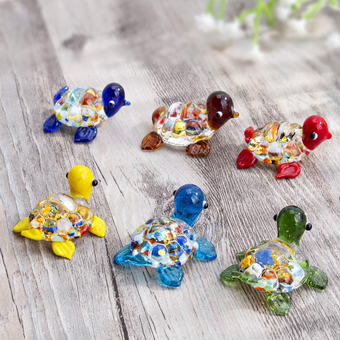 Cute Glass Turtle Miniature Fi - مراجعة Aquarium Fish Japan وسعره