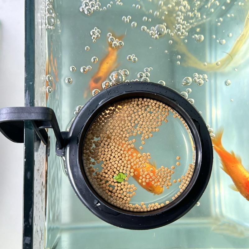 C 1/2/5Pcs Aquarium Feeding Ri - مراجعة Aquarium Fish Feeder وسعره