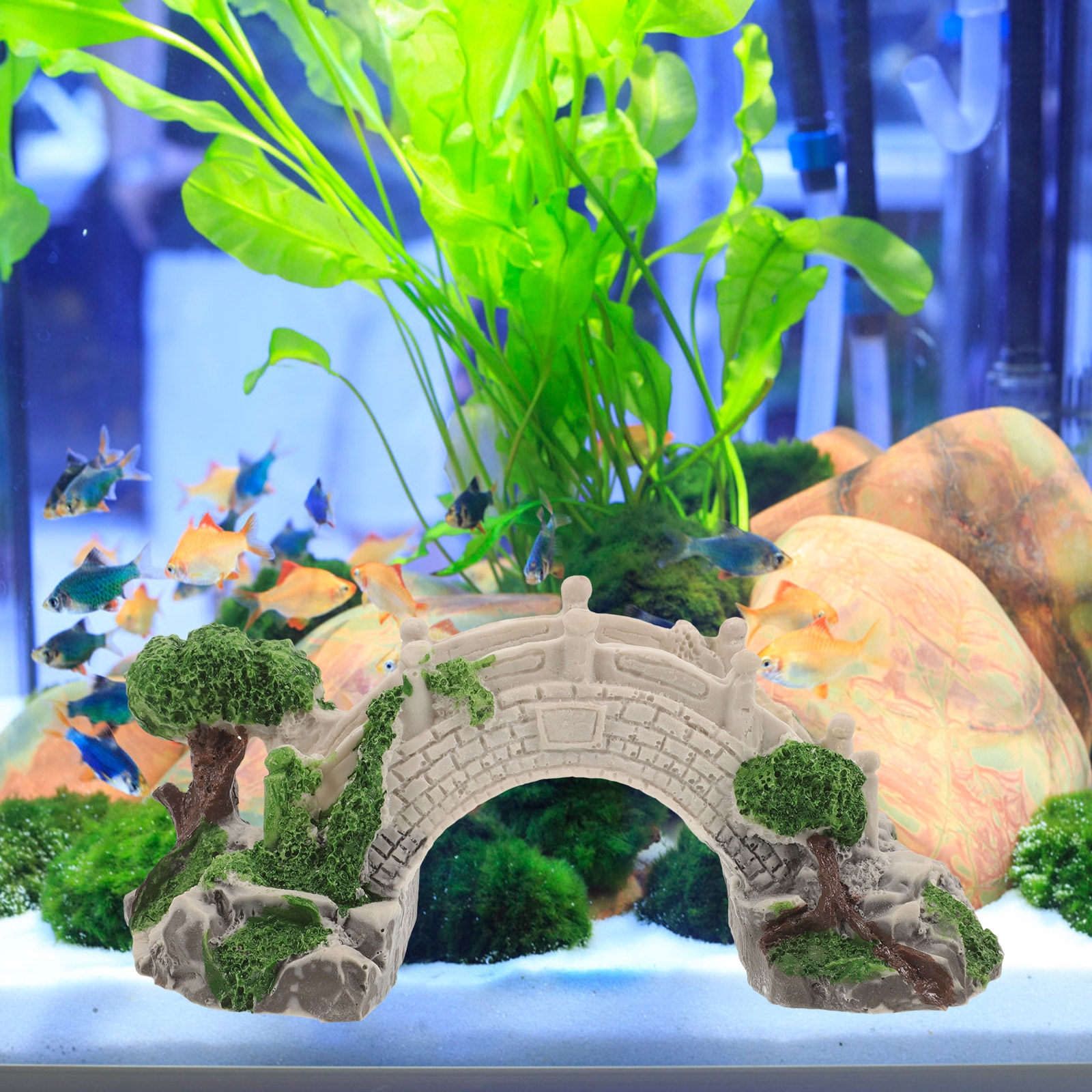 Miniature Fish Tank Bridge Res - مراجعة Aquarium Fish Bridge وسعره