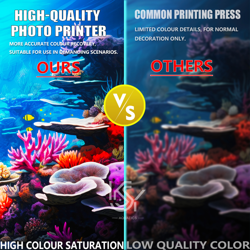 Thick Self-Adhesive Aquarium B - مراجعة Aquarium Fish Poster وسعره