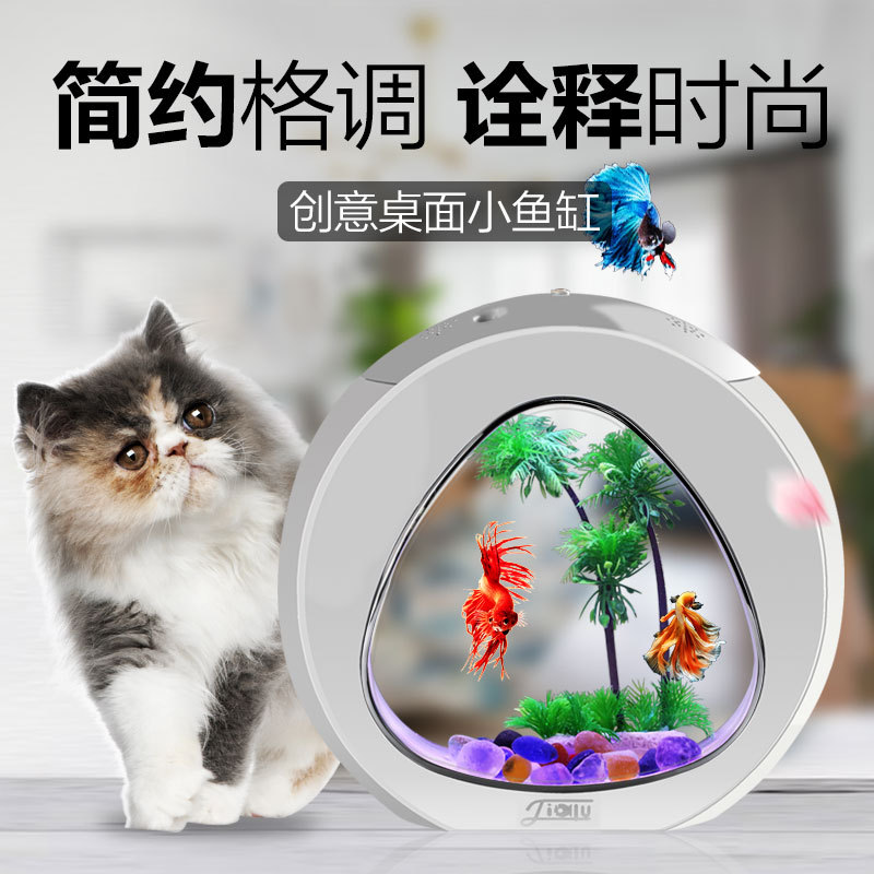 Jialu creative desktop fish ta - مراجعة Aquarium Fish Delivery وسعره