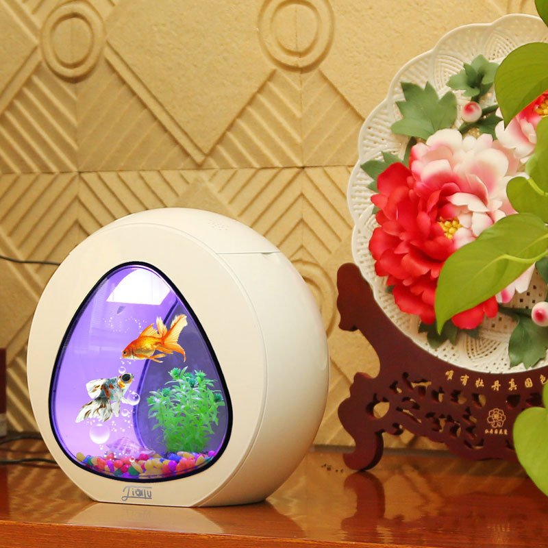 Jialu creative desktop fish ta - مراجعة Aquarium Fish Delivery وسعره