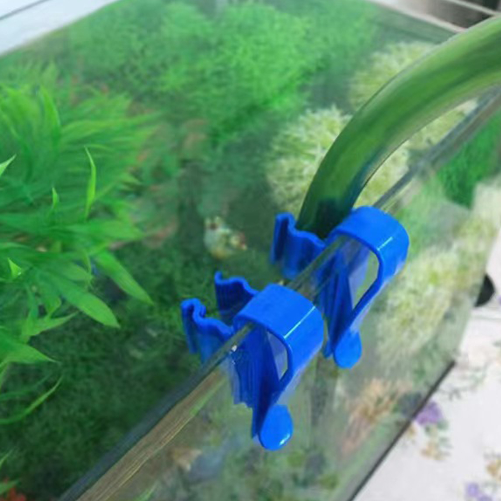 Aquarium Tube Holder Clip Fish - مراجعة Aquarium Fish Real وسعره