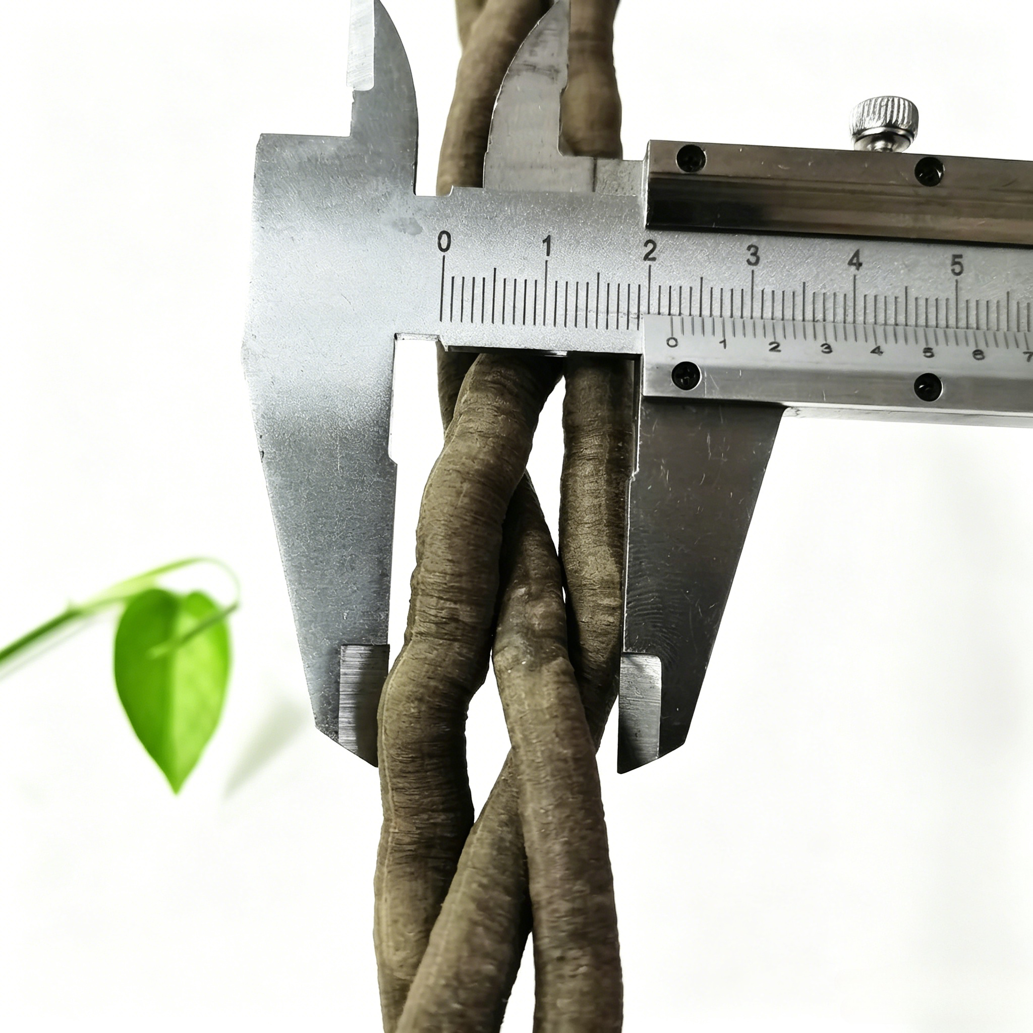 100cm Artificial Vine Fake Pla - مراجعة Aquarium Fish Gallery وسعره