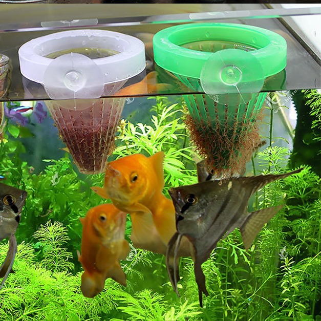 5Pcs Aquarium Red Worm Feeder  - مراجعة Aquarium Fish Feeder وسعره