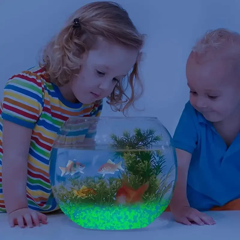 1000pcs 3-5mm Luminous Sand Gl - مراجعة Aquarium Fish Real وسعره