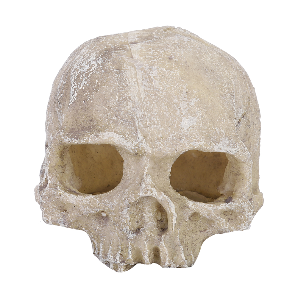 Resin Simulated Head Bone Skul - مراجعة Aquarium Fish Hiding Places وسعره