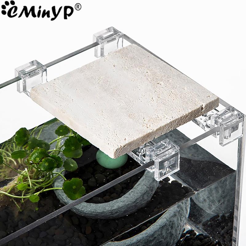 4Pcs Fish Tank Acrylic Clips f - مراجعة Aquarium Fish Real وسعره