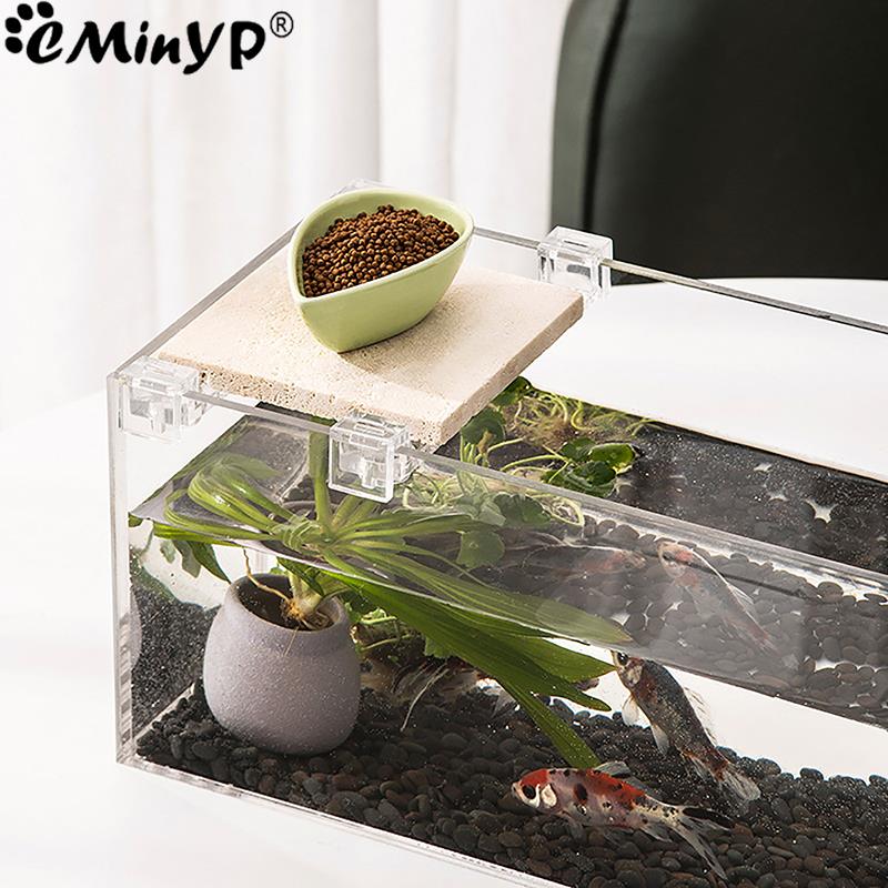 4Pcs Fish Tank Acrylic Clips f - مراجعة Aquarium Fish Real وسعره