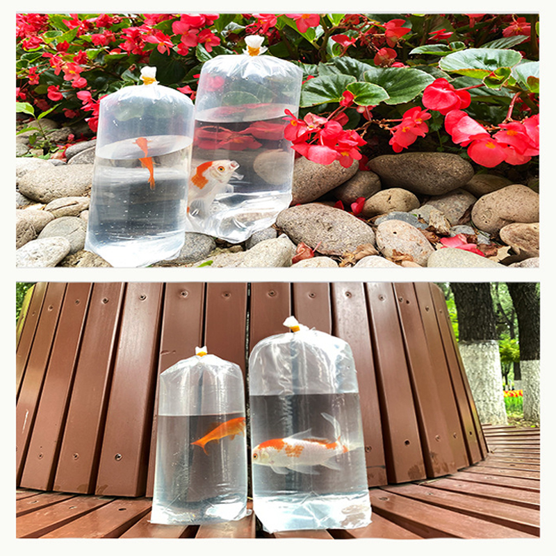 50 Pcs Aquarium Breathing Bags - مراجعة Aquarium Fish Delivery وسعره