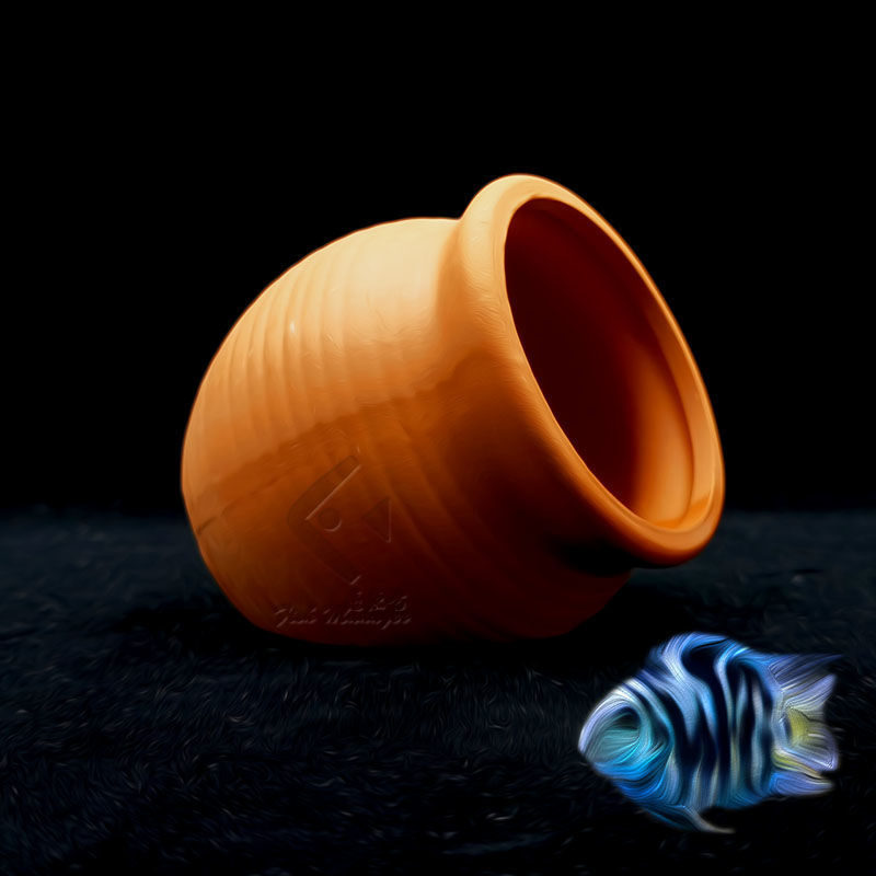 Aquarium Mini Ceramic Tank Fis - مراجعة Aquarium Fish Hiding Places وسعره
