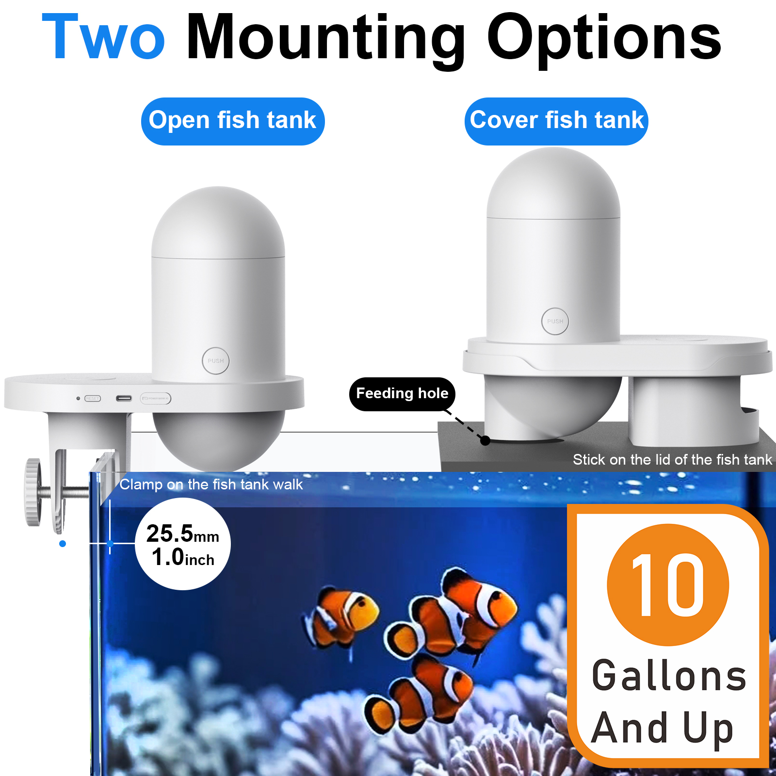 Automatic Fish Feeder With Cam - مراجعة Aquarium Fish Feeder وسعره
