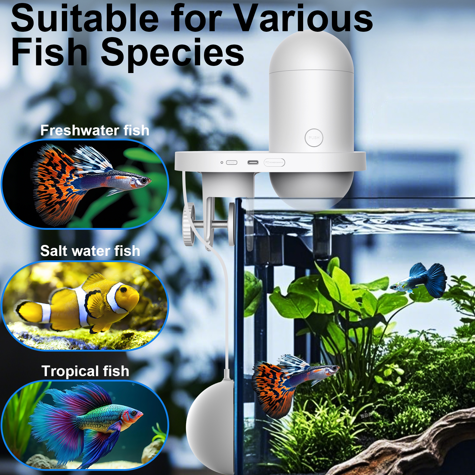 Automatic Fish Feeder With Cam - مراجعة Aquarium Fish Feeder وسعره