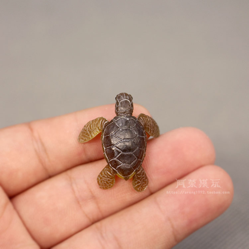 Marine Life Sea Turtle Model O - مراجعة Aquarium Fish Japan وسعره