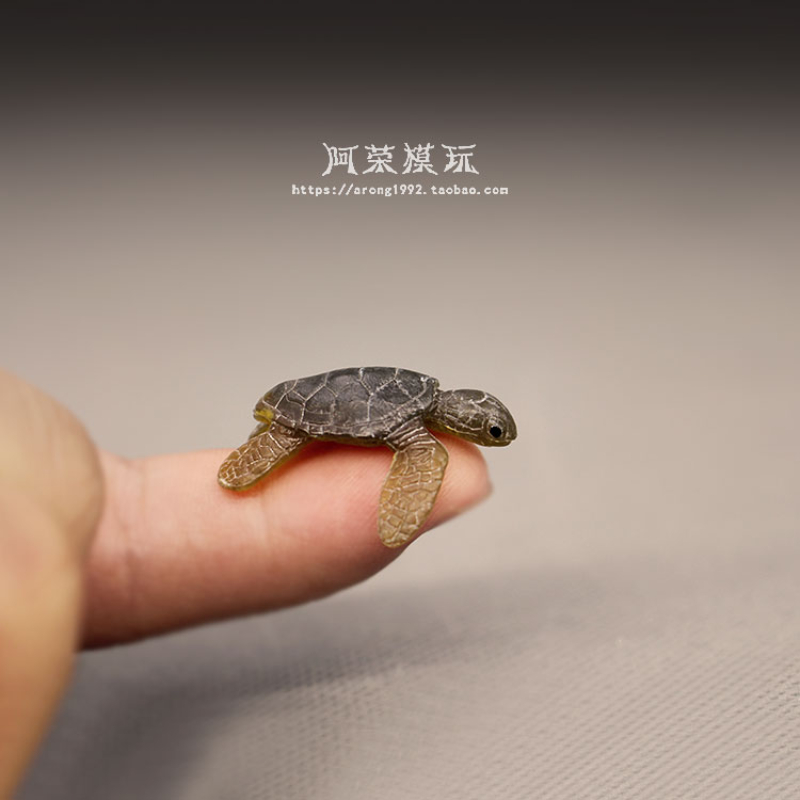 Marine Life Sea Turtle Model O - مراجعة Aquarium Fish Japan وسعره