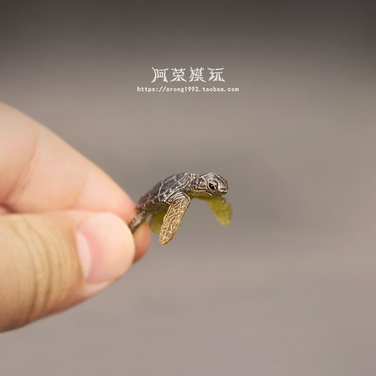 Marine Life Sea Turtle Model O - مراجعة Aquarium Fish Japan وسعره
