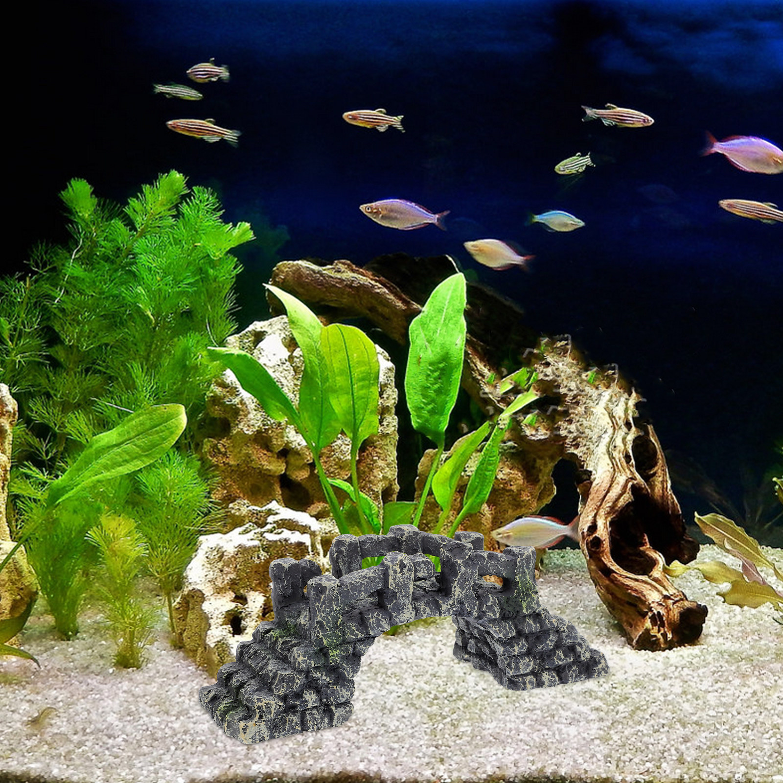 Miniature Resin Arch Bridge Fi - مراجعة Aquarium Fish Bridge وسعره