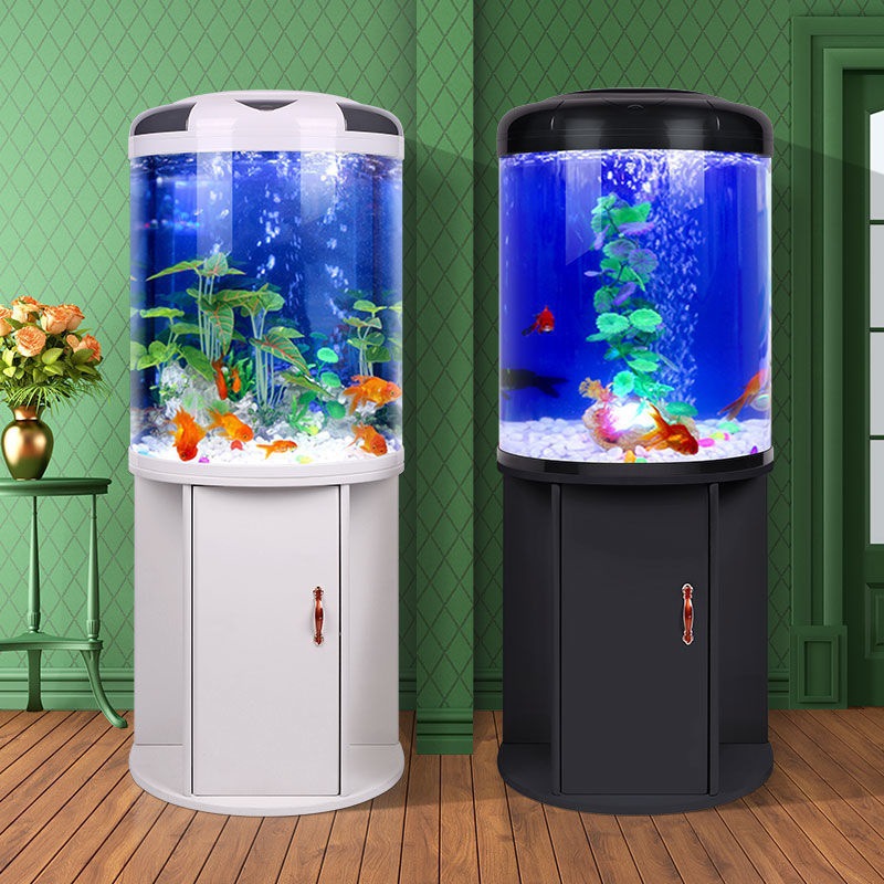 Fish tank living room Semicirc - مراجعة Live Fish Aquarium وسعره