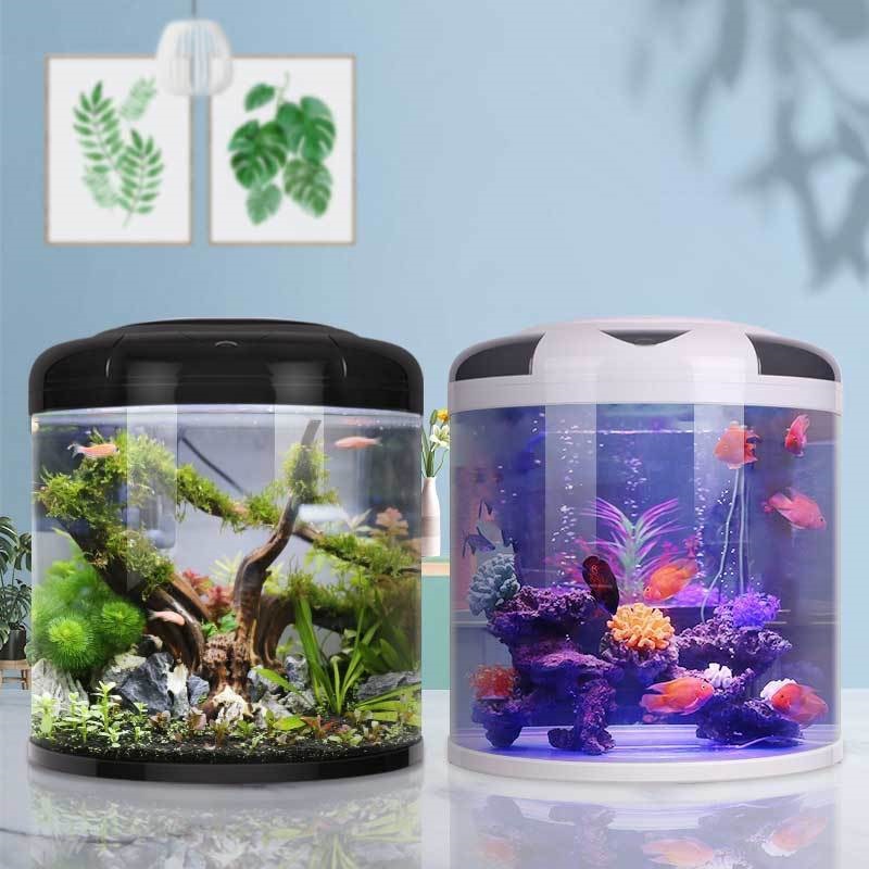 Fish tank living room Semicirc - مراجعة Live Fish Aquarium وسعره