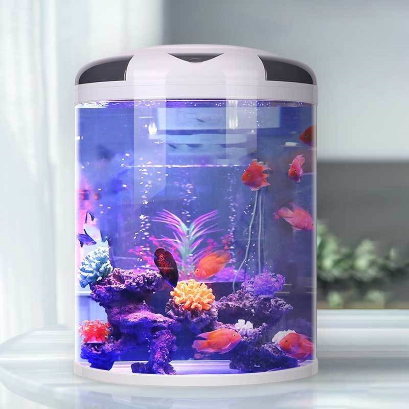Fish tank living room Semicirc - مراجعة Live Fish Aquarium وسعره