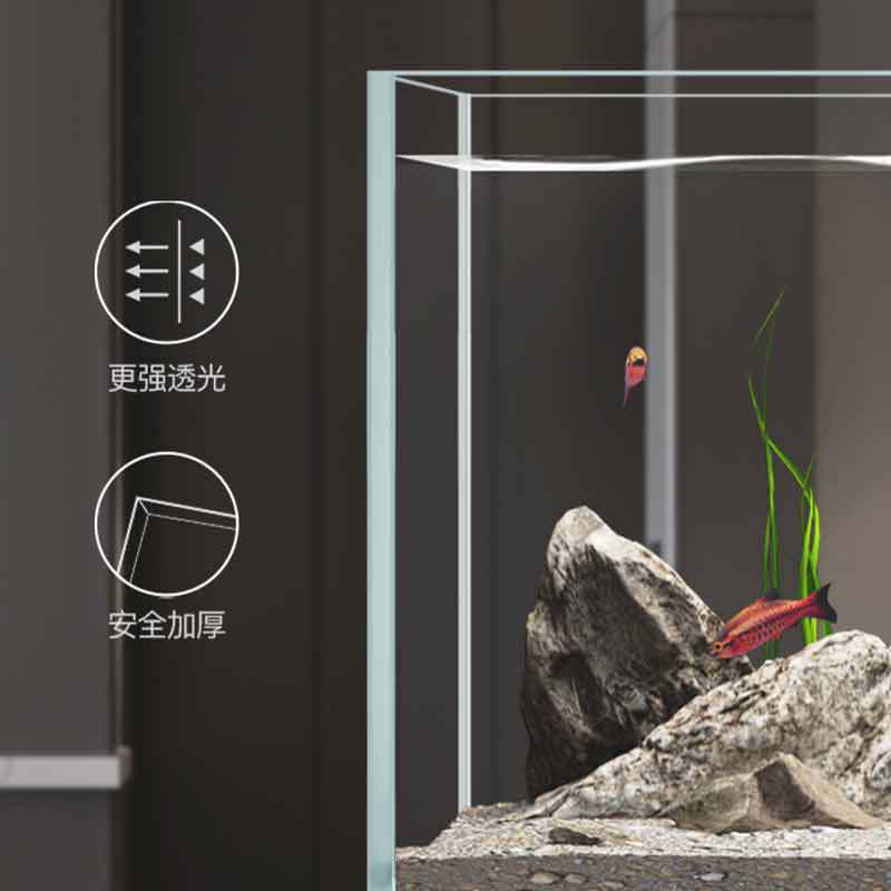 Minjiang stream tank landscapi - مراجعة Live Fish Aquarium وسعره