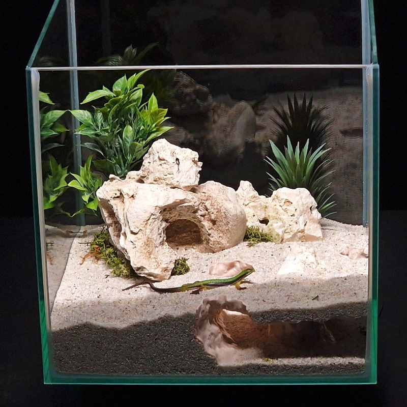 3DPrinted Fish Tank Tunnel She - مراجعة Aquarium Fish Hiding Places وسعره