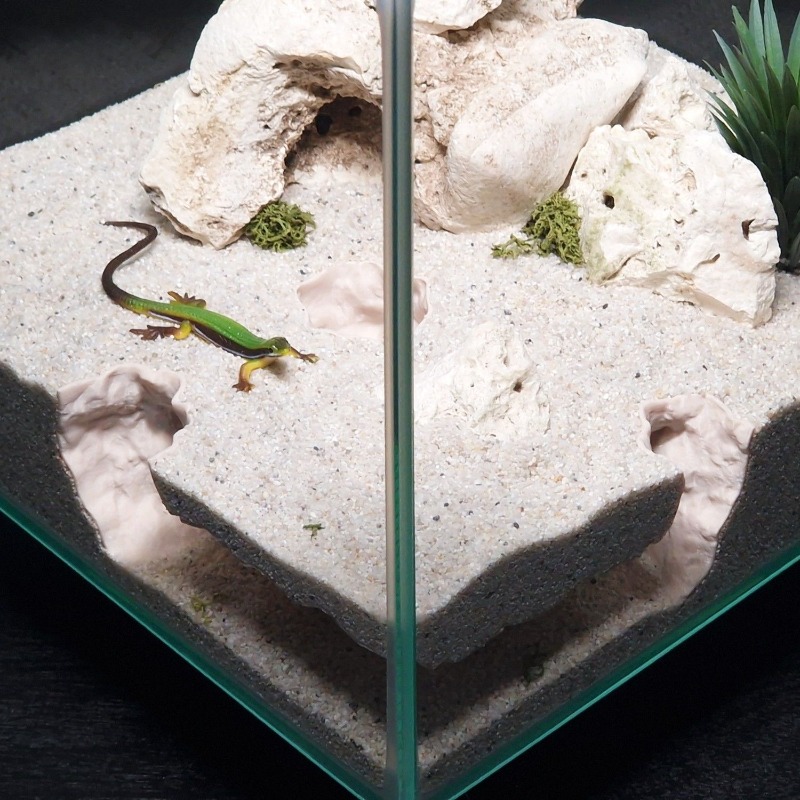 3DPrinted Fish Tank Tunnel She - مراجعة Aquarium Fish Hiding Places وسعره