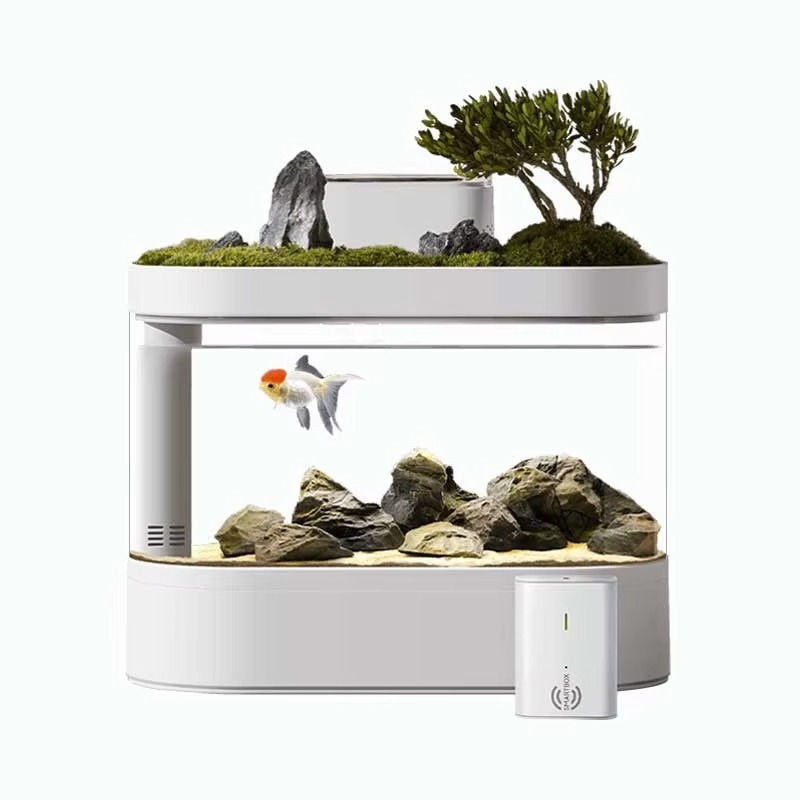 Desktop Smart Aquarium Fish Ta - مراجعة Aquarium Fish Feeder وسعره