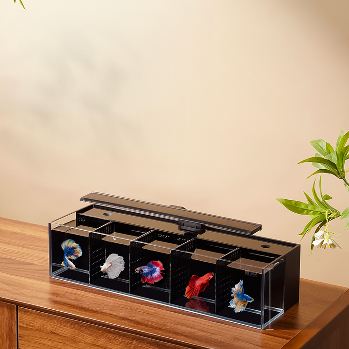 Modular Self-Cleaning Glass Fi - مراجعة Aquarium Fish Zone وسعره