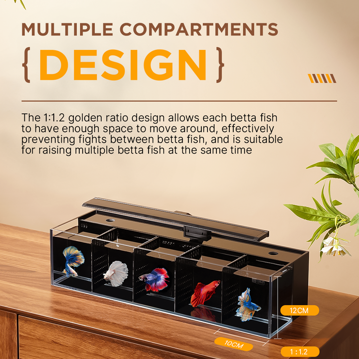 Modular Self-Cleaning Glass Fi - مراجعة Aquarium Fish Zone وسعره