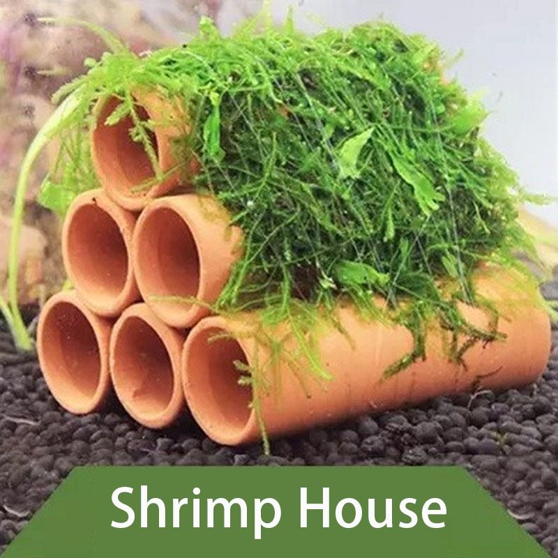 Clay Aquarium Decoration Fish  - مراجعة Aquarium Fish Hiding Places وسعره