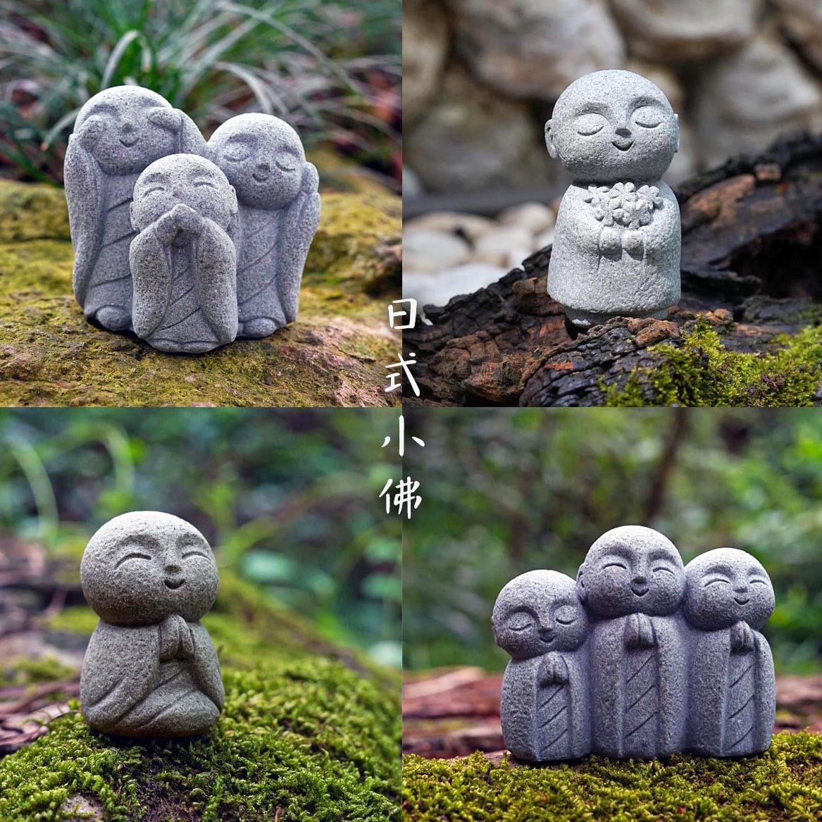 Cute Japanese Monk Kyoto Prefe - مراجعة Aquarium Fish Japan وسعره