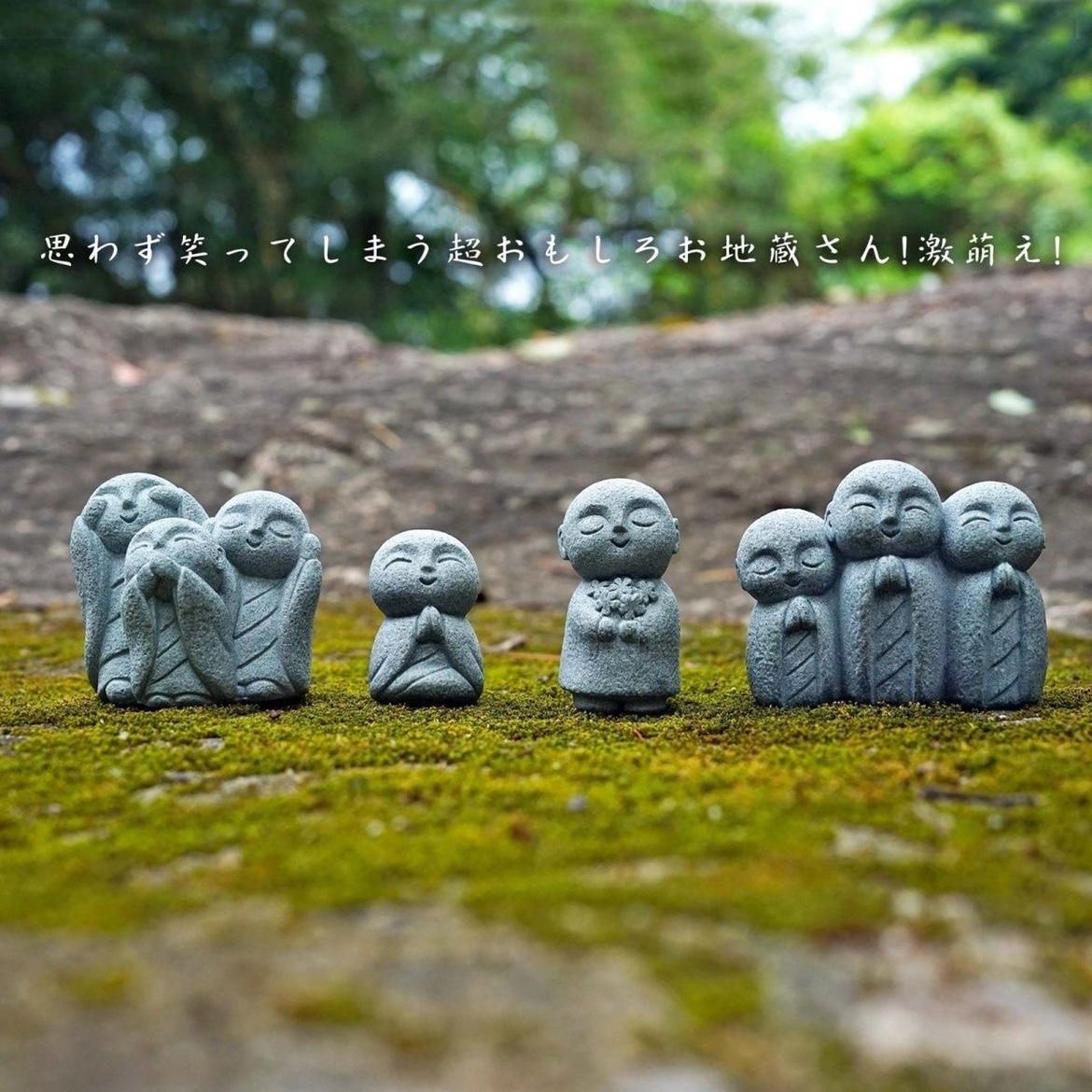 Cute Japanese Monk Kyoto Prefe - مراجعة Aquarium Fish Japan وسعره