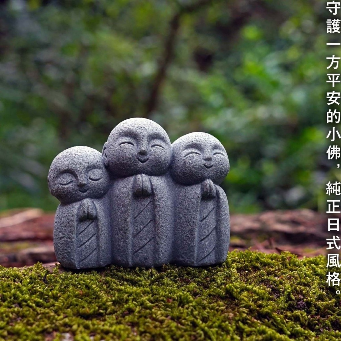 Cute Japanese Monk Kyoto Prefe - مراجعة Aquarium Fish Japan وسعره