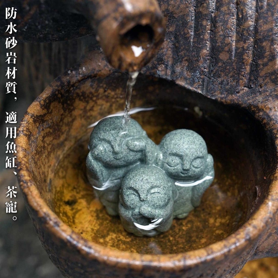 Cute Japanese Monk Kyoto Prefe - مراجعة Aquarium Fish Japan وسعره